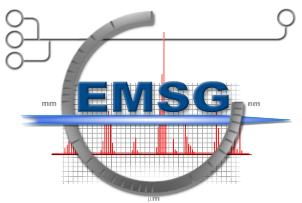 EMSG logo